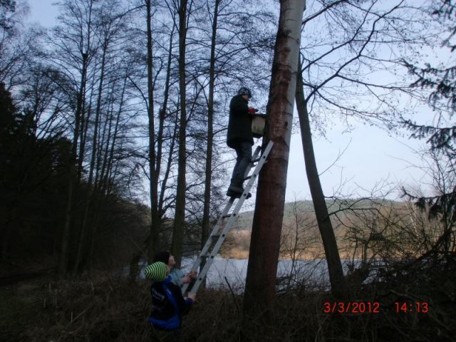 Nistkasten 030312 (33)
